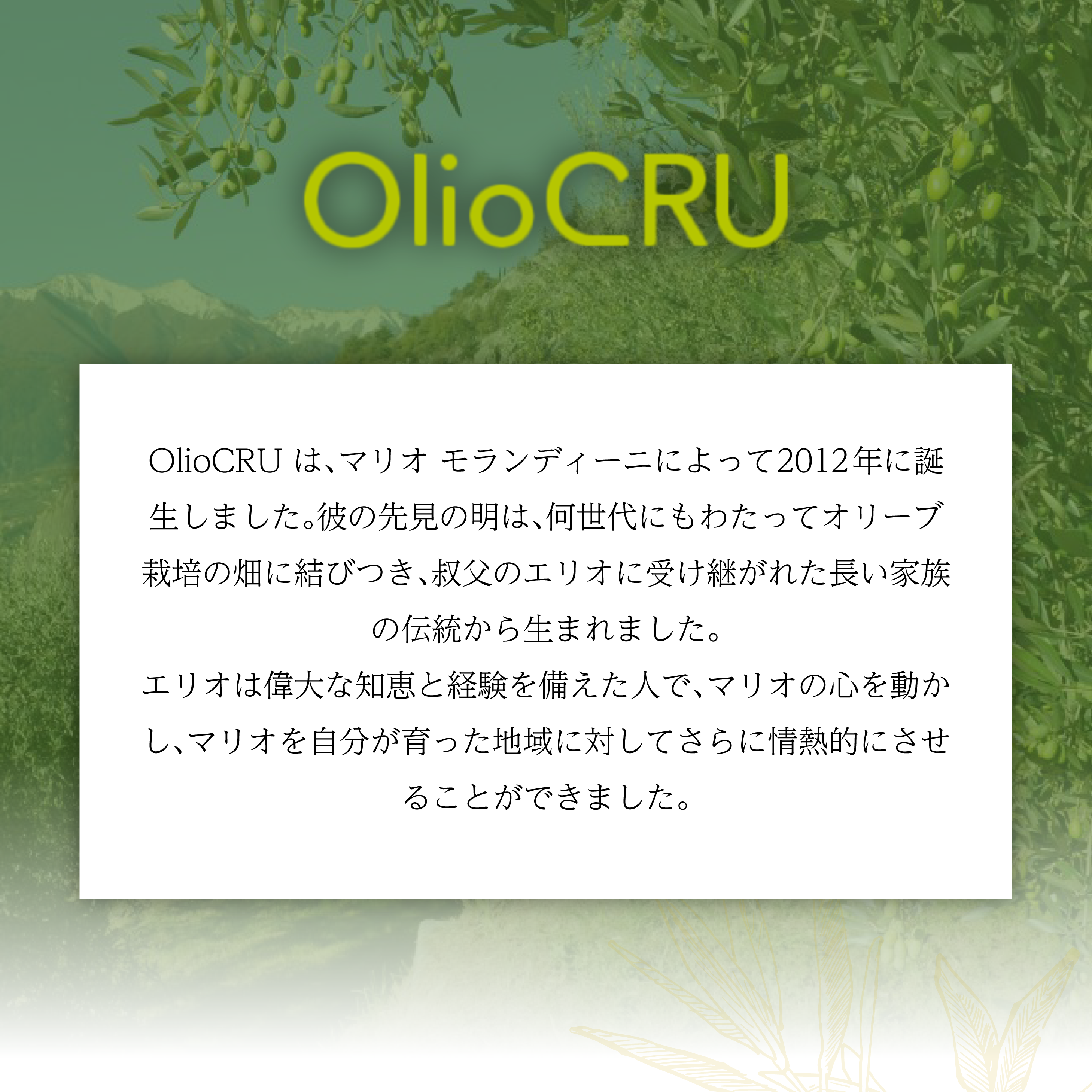 OlioCRU EX.Vオリーブオイル オリジニ 500ml