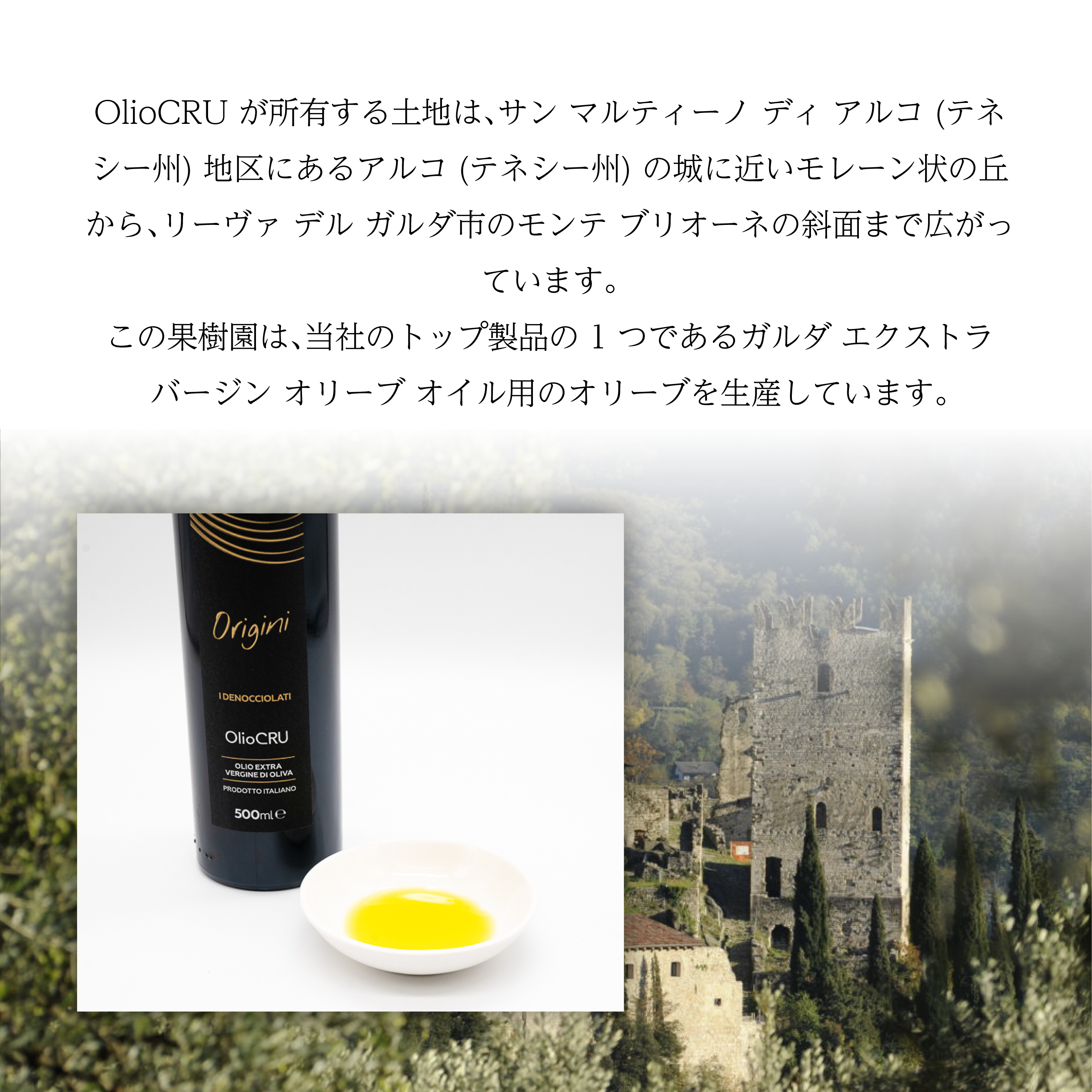OlioCRU EX.Vオリーブオイル オリジニ 250ml