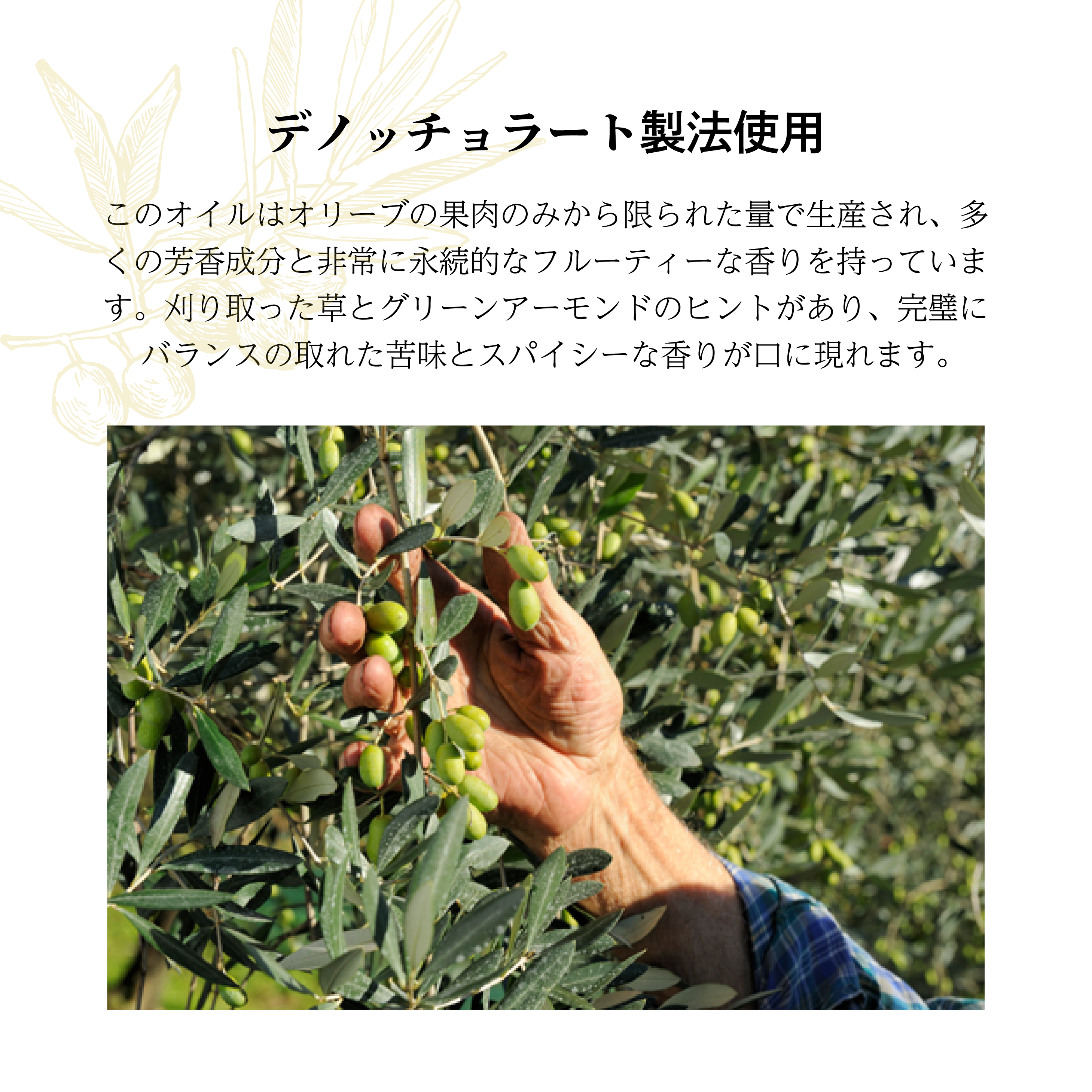 OlioCRU EX.Vオリーブオイル オリジニ 250ml