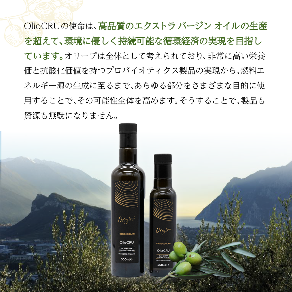 OlioCRU EX.Vオリーブオイル オリジニ 500ml